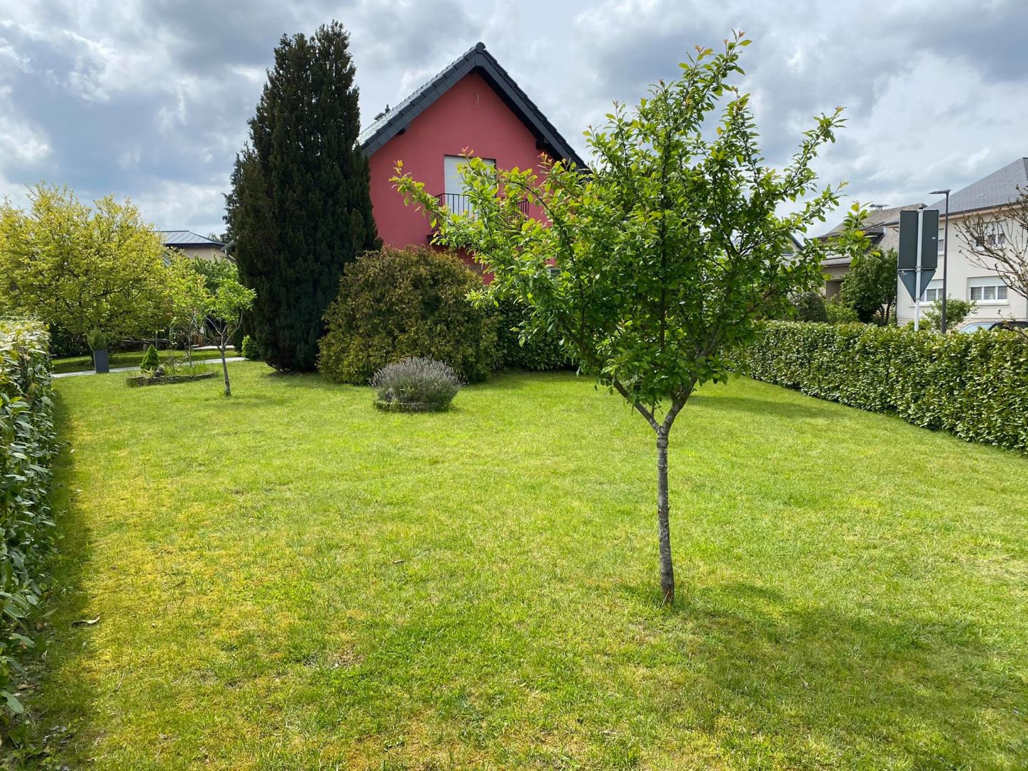 Image 12